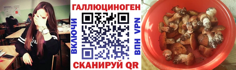 Галлюциногенные грибы мухоморы Можайск